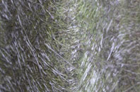 Glenancross fibreglass roof work